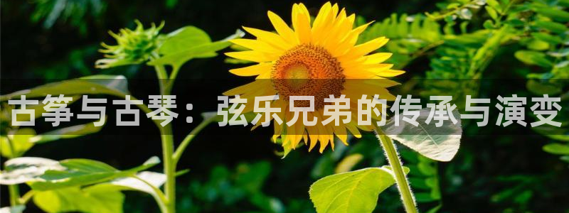 凯发k8ag旗舰厅网址