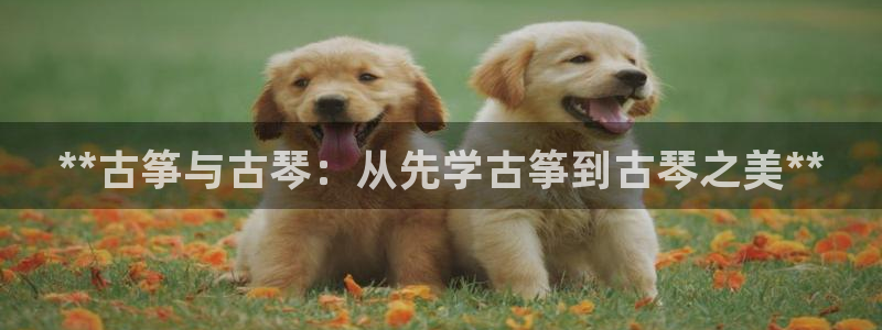 凯发线上客户端免费下载