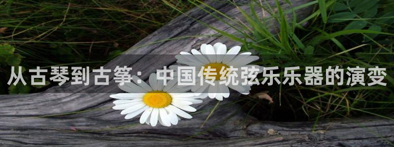 凯发k8国际|首页w来就送38元
