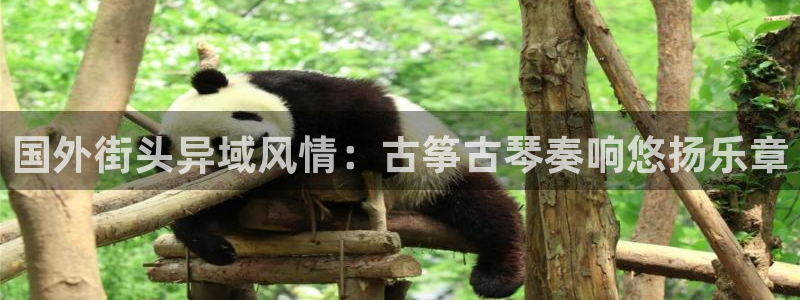 凯发k8娱乐旗舰