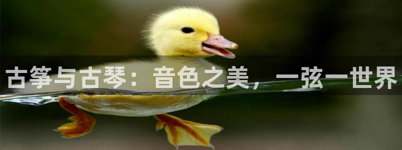 凯发官网地址