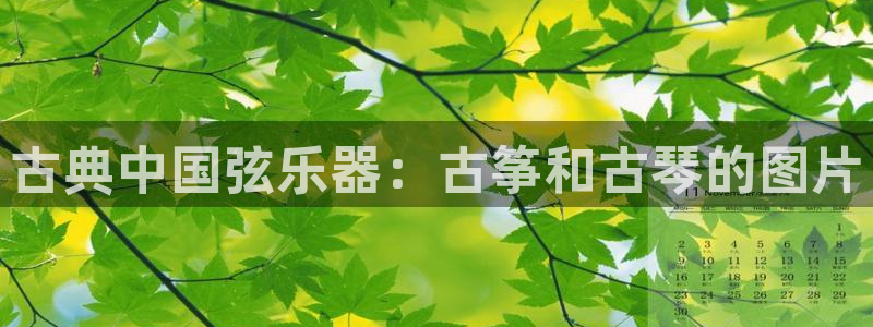 凯发网址直营