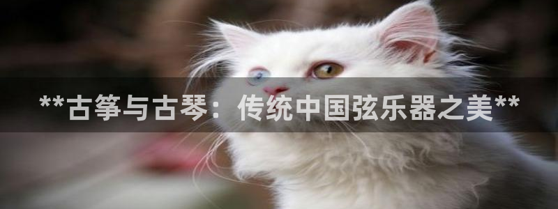 凯发国际网址官网查询