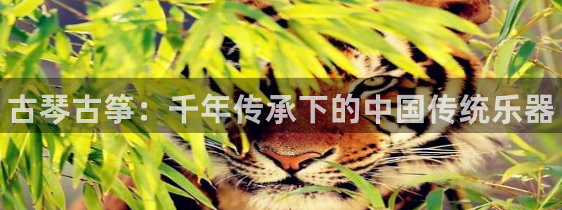 凯发k873