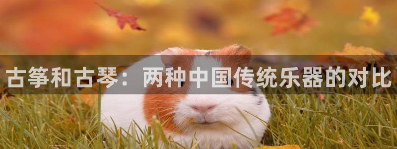 凯发k8555|手机版