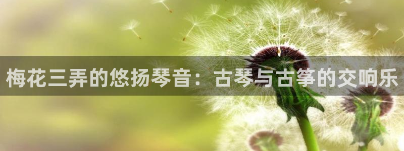 凯发k8ag85856