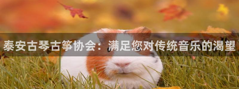 凯发正规网站