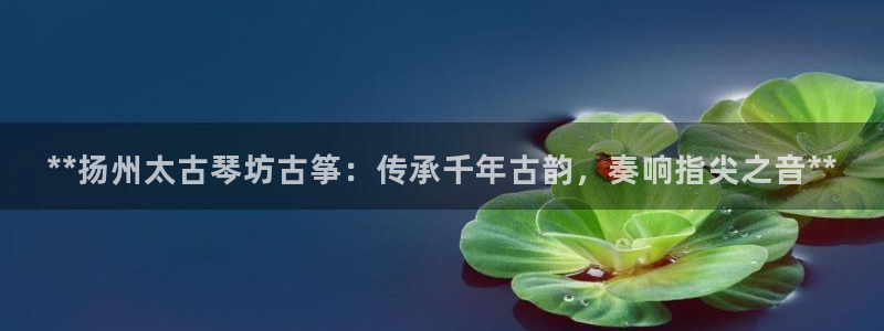 凯发k8官方网娱乐官方真