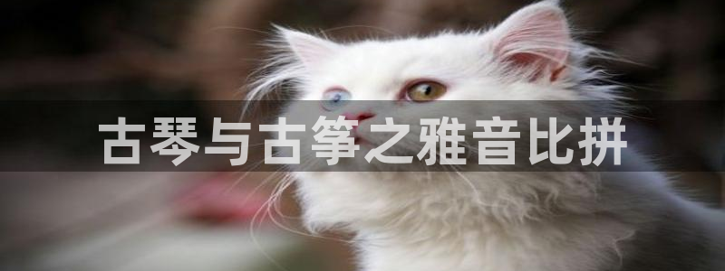 凯发k8娱乐是真实的吗