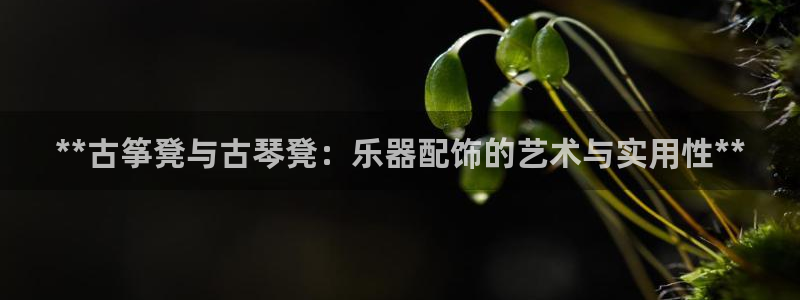 凯发k8娱乐是国内平台?