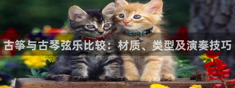 凯发网站是多少