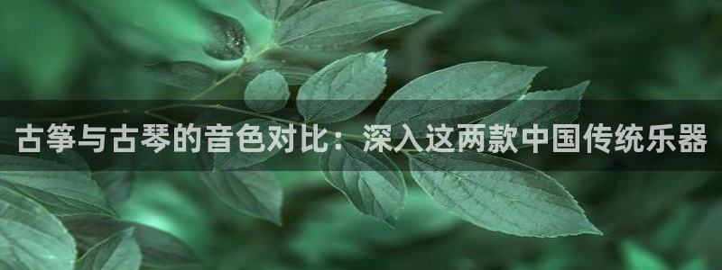 l凯发国际官网