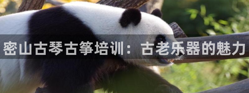 凯发k8官方旗舰店app