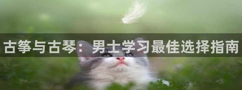 凯发官网登录免费下载
