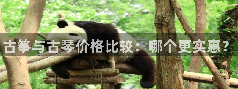 凯发国际网站官网