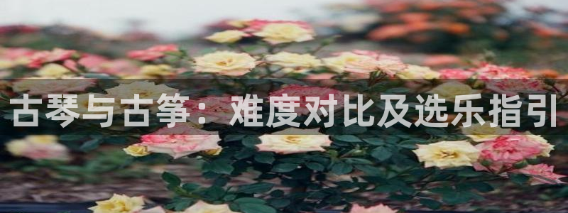 凯发平台开户