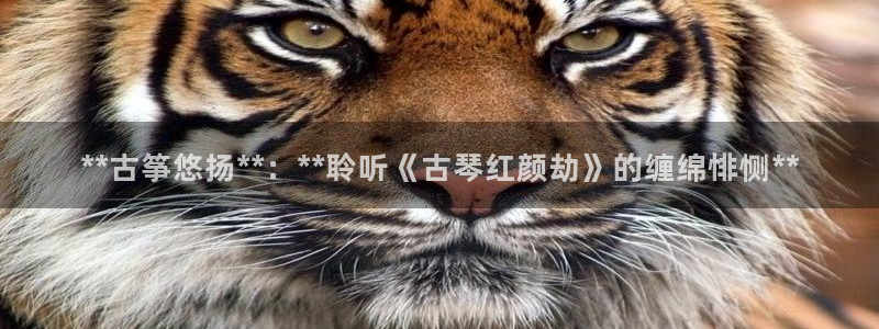 凯发国际平台首页