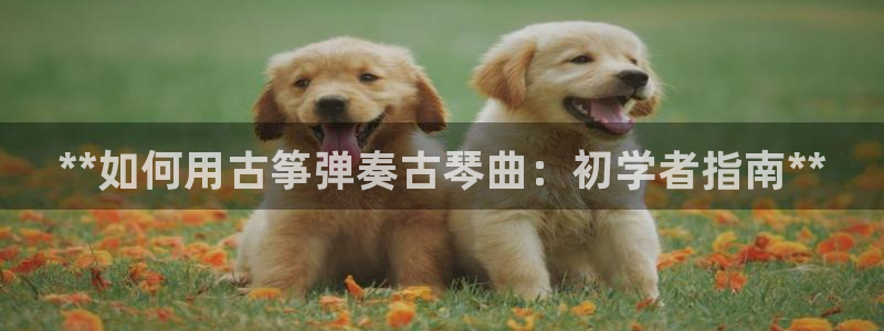 凯发旗舰厅官网