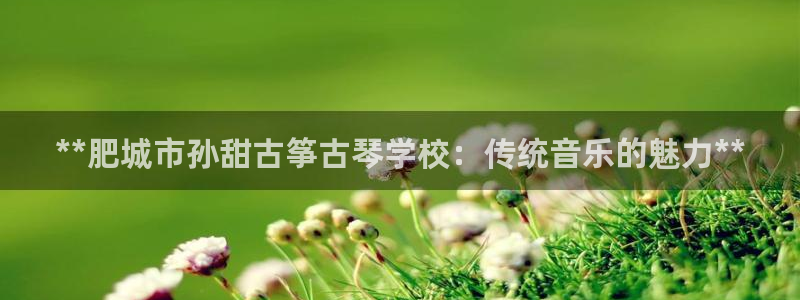 凯发娱乐官方网站