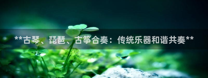 凯发官方网站是多少
