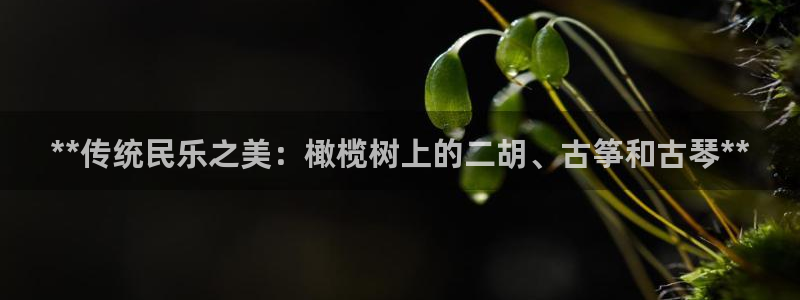 凯发k8国际版官网