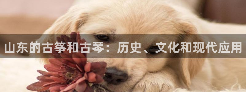 凯发国际娱乐官网k8
