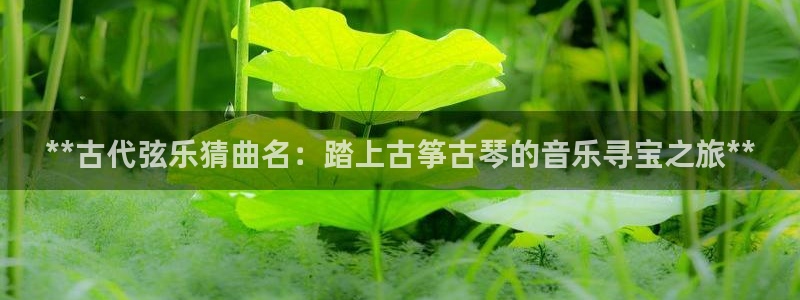凯发旗舰网站