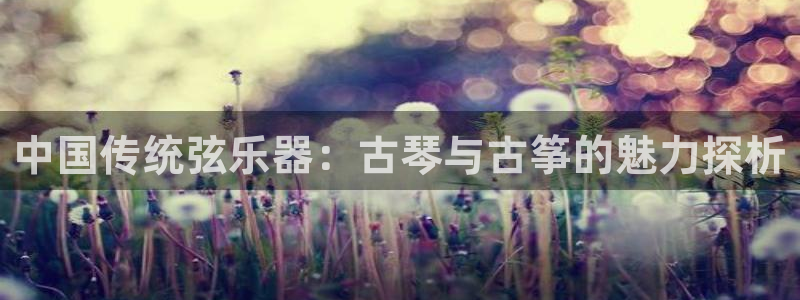 凯发k8娱乐官网网址中心