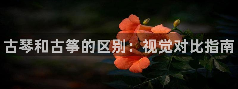 凯发k8娱乐现在还有吗