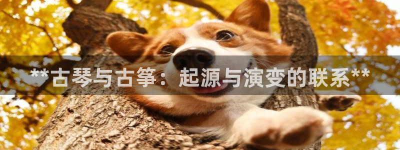 凯发线上客户端免费下载