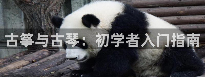 凯发手机官网