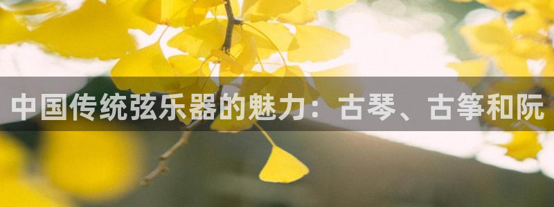 凯发正规网站