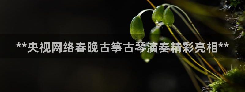 凯发k8app下载