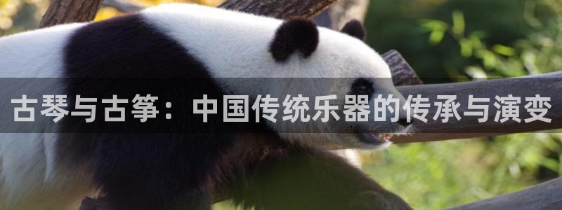 凯发k8娱乐旗舰