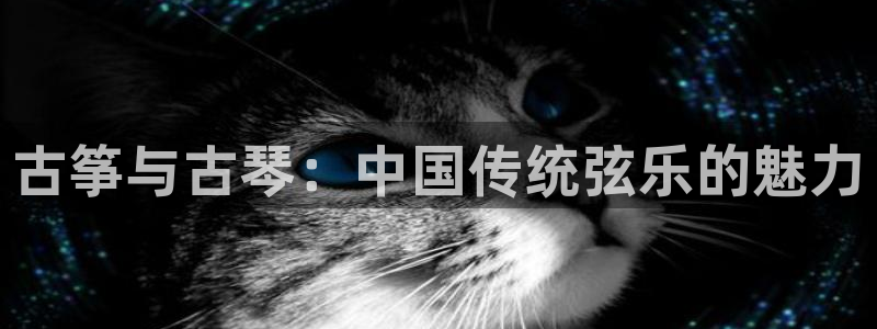 凯发在线平台官方网站