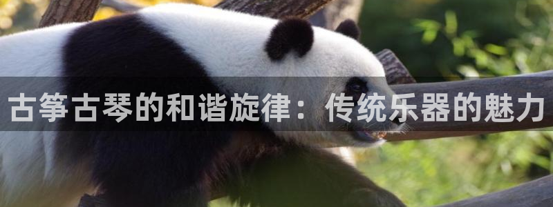凯发娱乐国际厅