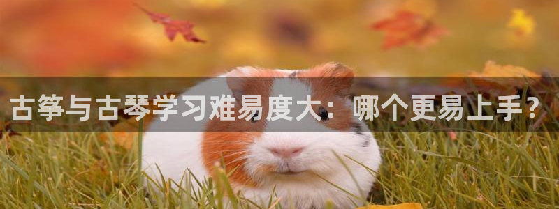 凯发手机app官网