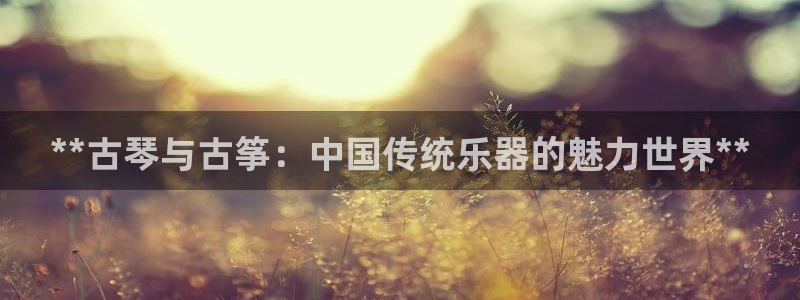 凯发k8ag85856