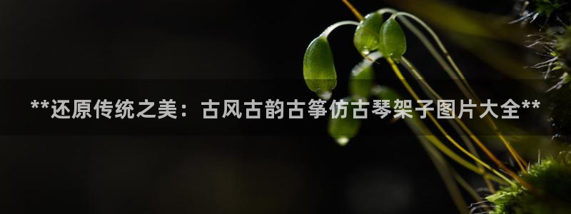 凯发K8旗舰厅