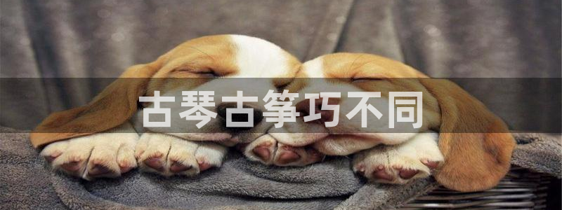 凯发国际亚洲有限公司