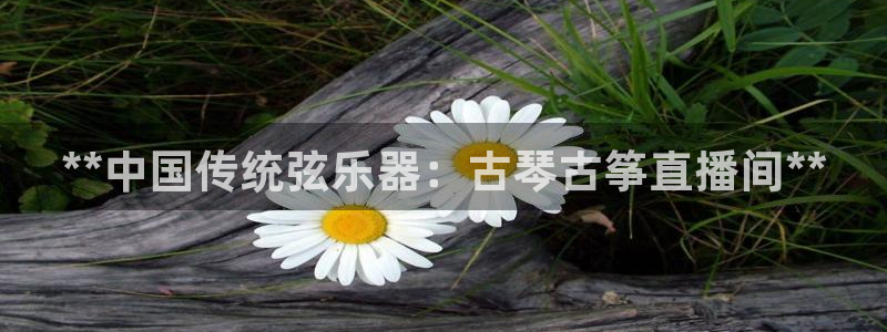 凯发国际网络平台网址