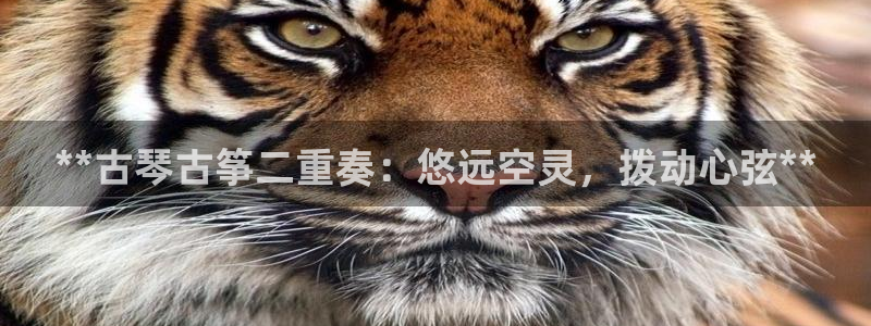 凯发k8ag旗舰厅网址