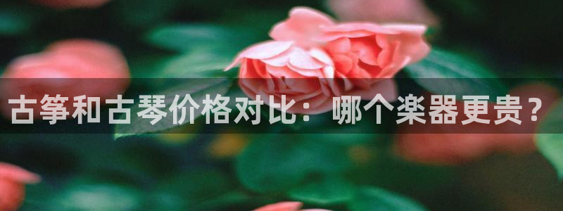 凯发网娱乐官网国际