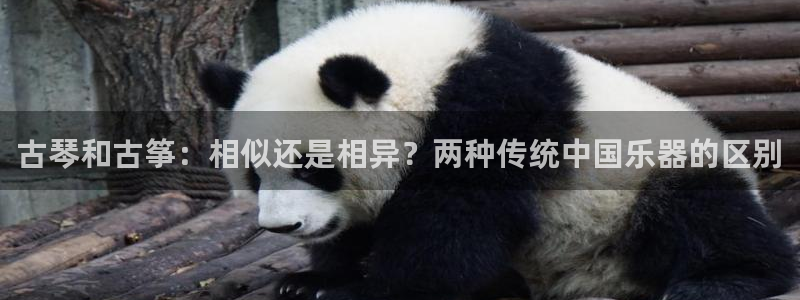 凯发k8手机是正品吗知乎