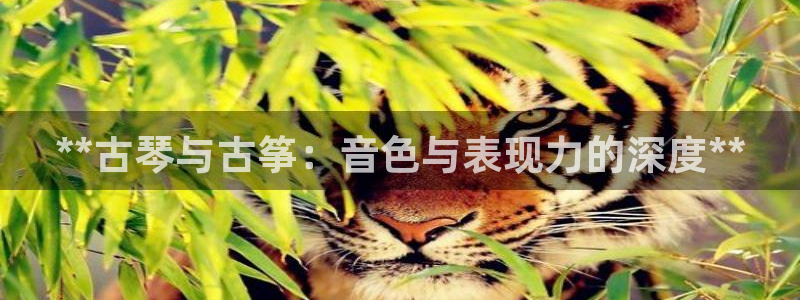 凯发k8娱乐倒闭了吗