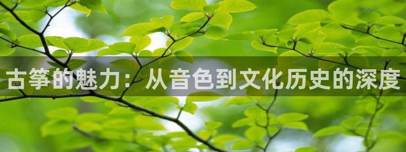 凯发正规网站