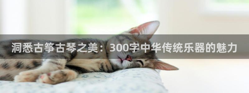 凯发旗舰平台