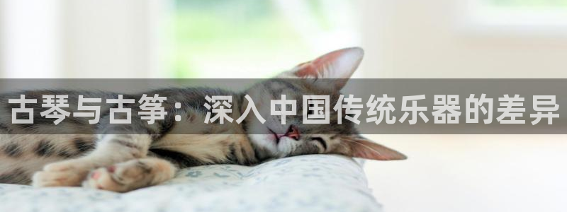 凯发网站是多少