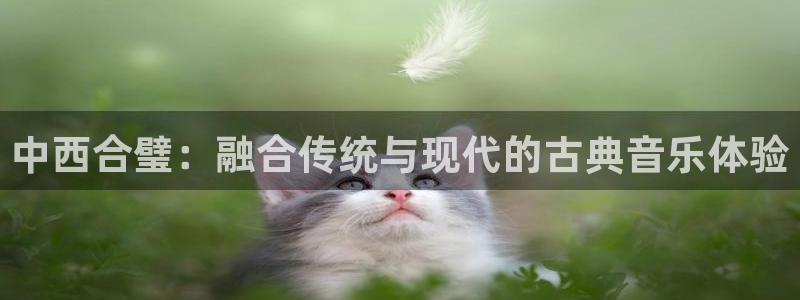 凯发k8网站是多少