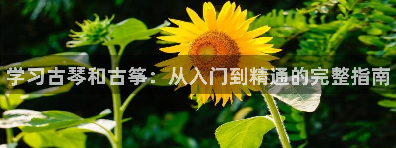 凯发平台首7O777
